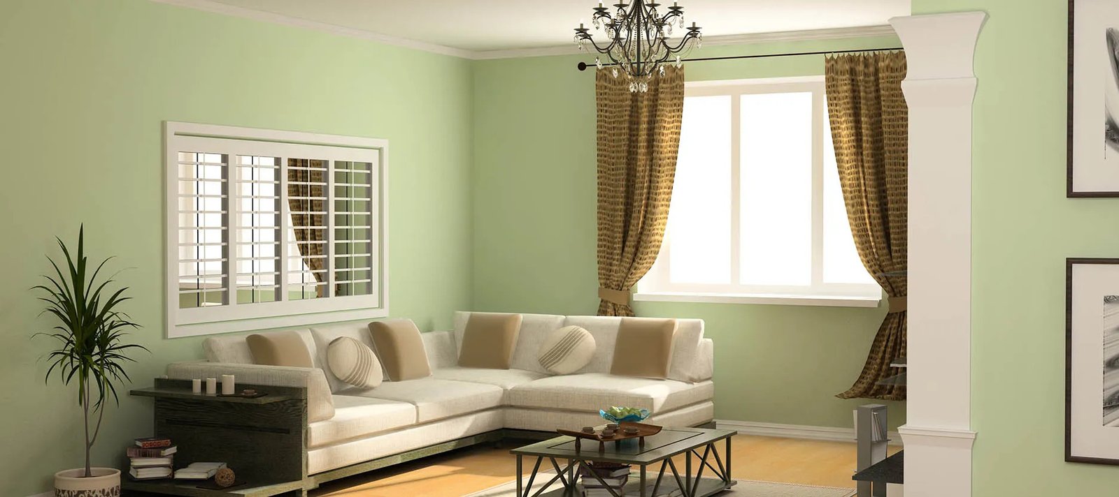 Paint & Wall Care